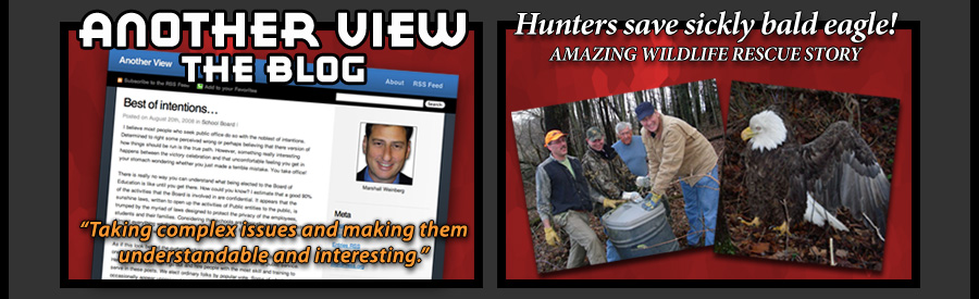 My Blog - Another View